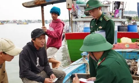 Chống khai thác IUU: Hải Phòng 'làm sạch' dữ liệu tàu cá, Lâm Đồng là điểm sáng