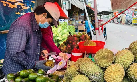 Mua nông sản từ nông dân không có tài khoản ngân hàng, buộc phải trả tiền mặt: Có cách nào để chứng minh khoản chi hợp lệ không?