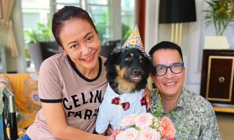 Chồng diễn viên Hồng Ánh phản ứng khi vợ 'đối đầu' Thanh Hằng