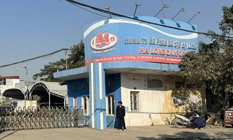 Vụ phát hiện 120 tấn thịt lợn nhiễm bệnh: Người tiêu dùng cần làm gì?