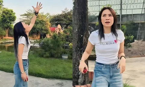 Cảnh tượng đặc biệt bên trong nhà vườn của Mỹ Tâm sau 4 năm