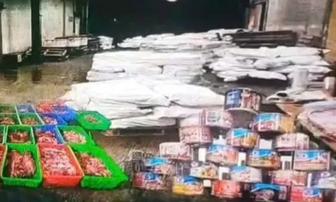 Khởi tố 9 bị can trong vụ tiêu thụ 130 tấn thịt lợn nhiễm dịch tả