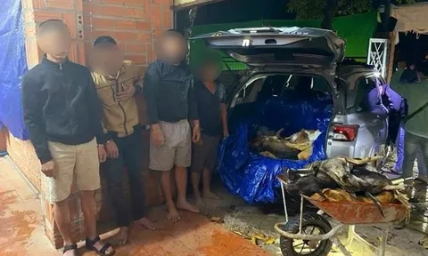 Đột kích 2 điểm nghi trộm cắp, tạm giữ 9 đối tượng cùng 1,5 tấn chó