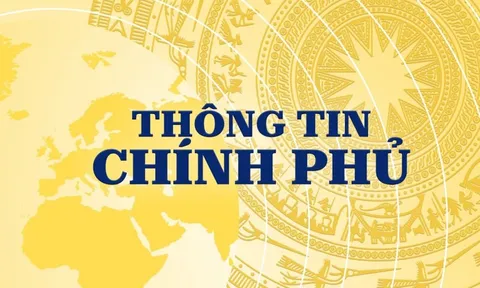 Từ kênh thông tin chính thống đến “cầu nối” giữa Chính phủ và người dân, doanh nghiệp