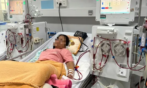 Phát hiện muộn suy thận mạn, nhiều trẻ sống phụ thuộc vào máy lọc máu 0