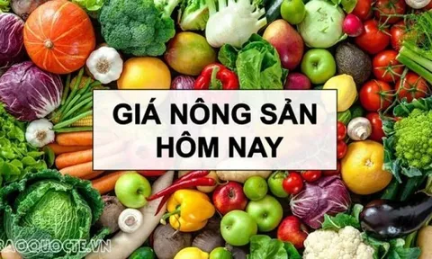 Giá nông sản hôm nay 10/1/2026: Giá cà phê đồng loạt 'lao dốc'; Tòa án tối cao Mỹ chưa có quyết định về thuế quan của Tổng thống Trump