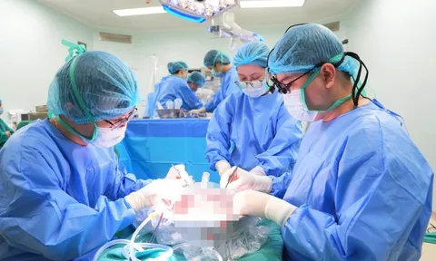 Thúc đẩy hệ thống hiến, ghép tạng bền vững tại Việt Nam