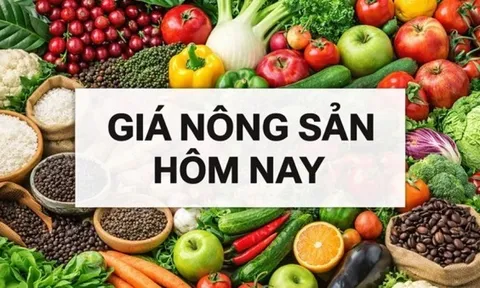 Giá nông sản hôm nay 12/1/2026: Giá cà phê trong nước không như mong đợi, Giá tiêu tăng hai tuần liên tiếp; Chủ tịch Fed bị điều tra hình sự