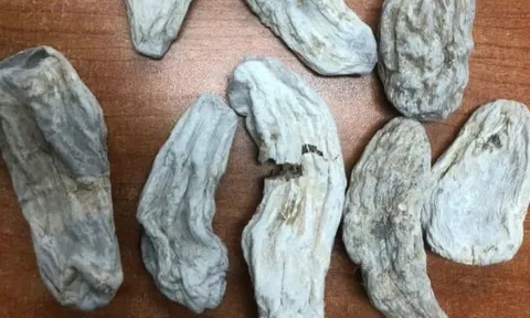 Bắt nhóm đối tượng lừa bán “thuốc gia truyền” giả cho bệnh nhân Bệnh viện 108