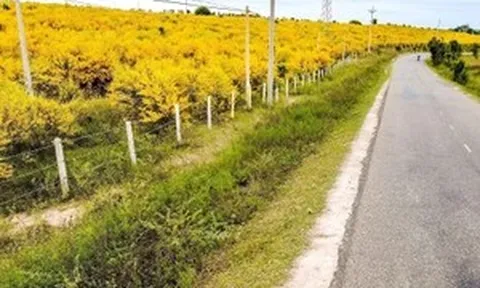 Điểm ‘check-in gây sốt’ khi du lịch Phan Thiết