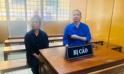 Lừa hoàn thiện pháp lý đất đai chiếm đoạt gần 13 tỷ đồng, 2 bị cáo lĩnh án nặng