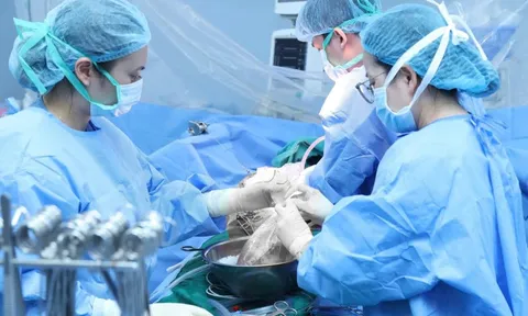 Nữ điều dưỡng hiến đa tạng sau chết não, cứu sống nhiều bệnh nhân 0