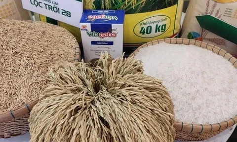 Gạo Lộc Trời bổ nhiệm tổng giám đốc mới