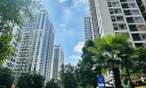 "Bán nhà hơn 2 tỷ đi làm ăn, gần 2 năm chưa thu hồi vốn còn căn hộ cũ đã lên gần 4 tỷ"