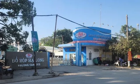 Vụ Công ty CP đồ hộp Hạ Long: Bắt nữ nhân viên kiểm dịch