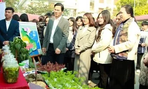 Giáo dục Tuyên Quang khơi thông nguồn lực, vững bước vào kỷ nguyên mới