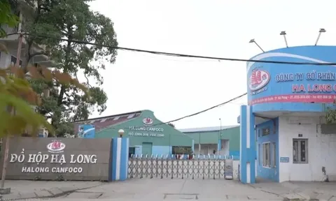 Bị ngừng việc, người lao động Công ty đồ hộp Hạ Long được hỗ trợ thế nào?