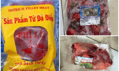 Đột kích loạt kho xưởng phù phép 50 tấn thịt heo thành thịt đà đà điểu, dê, nhím