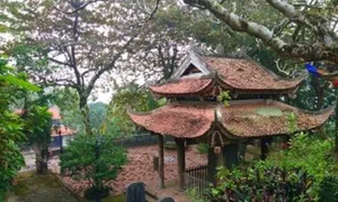 Không xây bảo tàng, ưu tiên bảo tồn giá trị gốc chùa Đọi Sơn