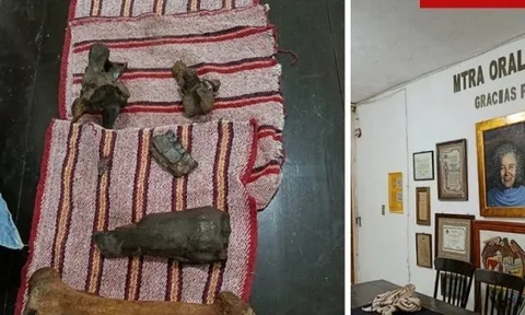 Mexico: Phát hiện hóa thạch nhiều động vật khổng lồ thời tiền sử trong hang động