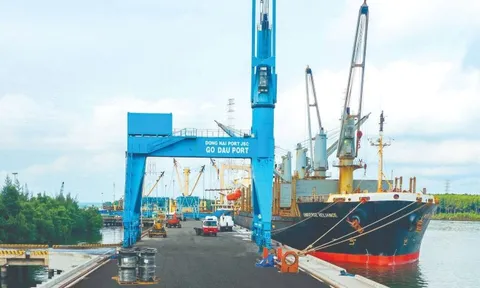 Công ty cảng biển 6.000 tỷ báo lãi kỷ lục, EPS 7.350 đồng, tiền mặt chiếm 50% tài sản