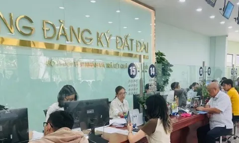 Khẩn trương đưa văn phòng đăng ký đất đai, khuyến nông, ban quản lý vào hoạt động hiệu lực, hiệu quả