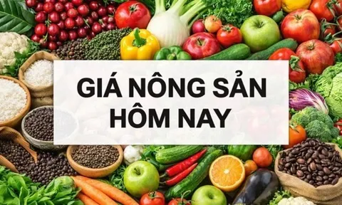 Giá nông sản hôm nay 24/1/2026: Giá cà phê robusta bứt phá, giá tiêu tăng liên tiếp; Mỹ hoãn áp thuế châu Âu nhưng thỏa thuận Greenland vẫn mơ hồ