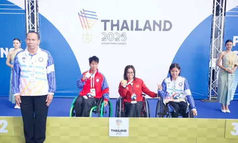 Thành tích nổi bật của đoàn Thể thao Người khuyết tật Việt Nam tại ASEAN Para Games 13