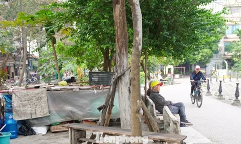 Công viên tại trung tâm Hà Nội bị hàng quán lấn chiếm, bãi cỏ thành nơi trồng rau