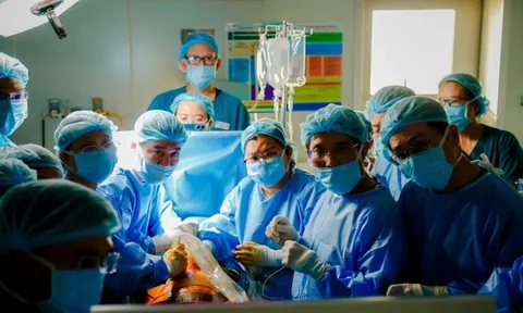 Nhật Bản mời bác sĩ TP.HCM 'thị phạm' can thiệp tim mạch 0