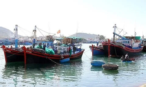 Thủ tướng chỉ đạo quyết tâm gỡ 'thẻ vàng' IUU trong tháng 4