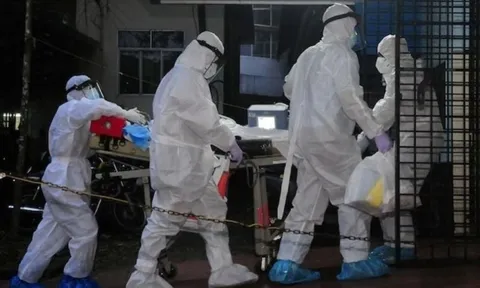 Virus Nipah bùng phát ở Ấn Độ, TP.HCM ra thông báo mới 0