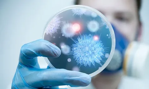 Bộ Y tế khuyến cáo người dân hạn chế đến khu vực có dịch bệnh do virus Nipah