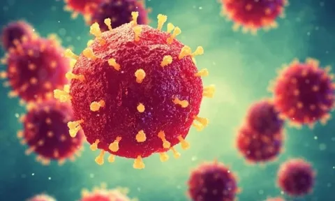 Việt Nam chưa ghi nhận ca mắc virus Nipah, Bộ Y tế tăng cường giám sát 0