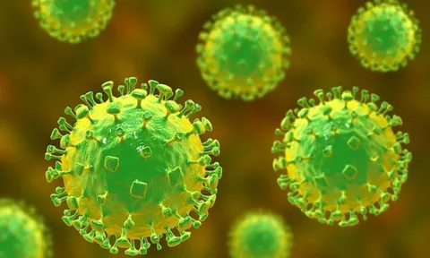 Virus Nipah là gì, nguy hiểm ra sao? 0