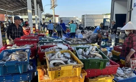 Chính phủ ban hành Nghị định quy định chi tiết thi hành Luật Thủy sản