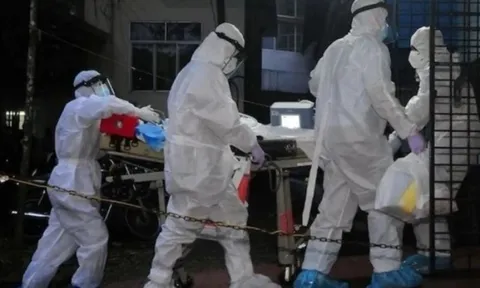 Virus Nipah nhóm A gây tử vong tới 75%, Bộ Y tế ra văn bản hỏa tốc 0