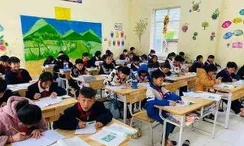 Sở GD&ĐT Tuyên Quang tăng cường tư vấn, hỗ trợ chuyên môn cấp tiểu học