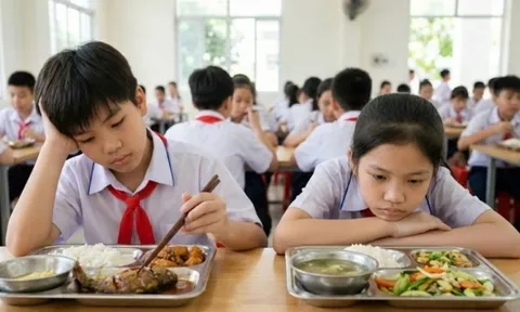 Vụ Sago Food nghi đưa thịt hết hạn vào trường học: Công ty buôn xăng dầu bất ngờ "bẻ lái" sang nấu suất ăn học đường chỉ sau 5 tháng