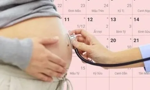 Chế độ thai sản với giáo viên hợp đồng?