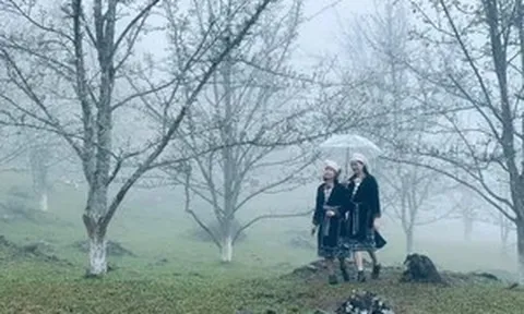 Khi núi rừng 'khoác áo trắng' mùa hoa lê