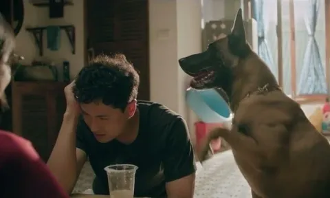 Đồng hồ đếm ngược tập 1: Thành có tin vui...