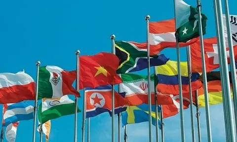 Mùa Xuân của những cánh sao vàng