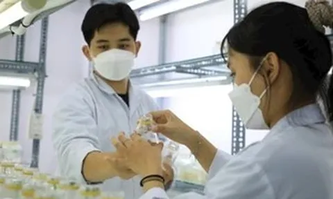 Chuyển từ tư duy mở rộng lựa chọn sang nâng cao chất lượng tuyển sinh đại học