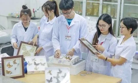 Giới hạn số lượng nguyện vọng giúp thí sinh lựa chọn ngành học chất lượng hơn