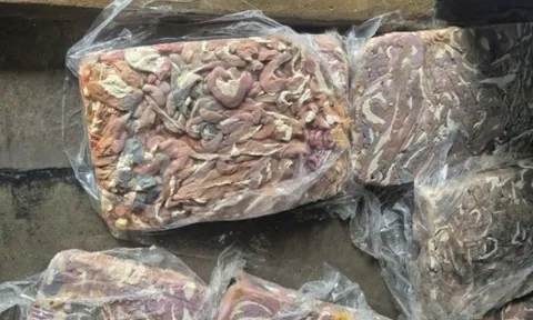 Điều gì xảy ra với cơ thể nếu ăn lòng heo ôi thiu? 0