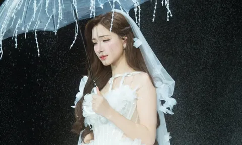 Số tiền 23 tỷ đồng của Hòa Minzy đang gây xôn xao