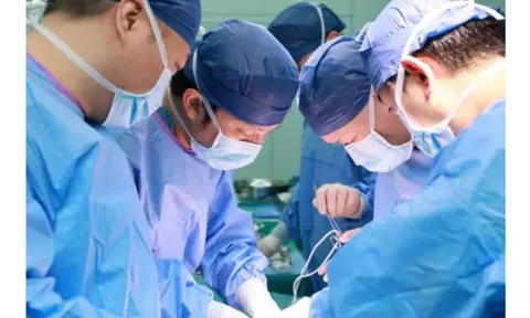 Trung Quốc ứng dụng gan lợn chỉnh sửa gen hỗ trợ điều trị suy gan 1