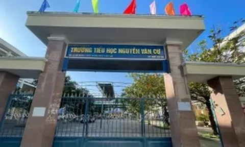 Đề nghị điều chuyển hiệu trưởng trường lạm thu, giáo viên sửa điểm thi