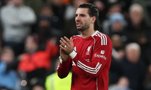 Tình huống hi hữu khép lại trận Liverpool - Man City